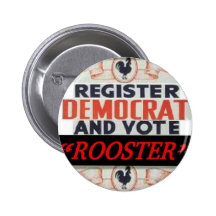 KNÄPPAS REGISTERDEMOKRATEN OCH RÖSTA TUPPEN SANTOR NÅL