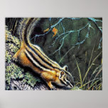 Knuffat till djurliv 9 posters