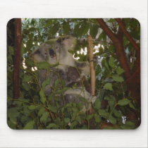 Koala och känguruunge musmattor
