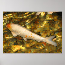 Koi Print
