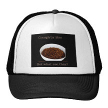 Komplottbitar Baseball Hat