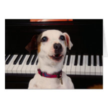 Konsert för piano för jackRussell Terrier Hälsnings Kort