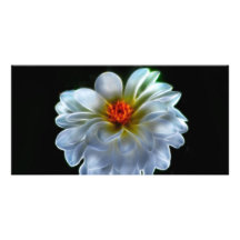 Konstnärlig dahlia och menande fotokort