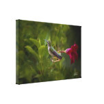 Konsttryck och kanfas för Hummingbird blom- Sträckta Canvas Tryck