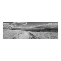 Konsttryckpanorama som sovar björndyner konstfoto