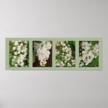 Kontorsblommor Affisch