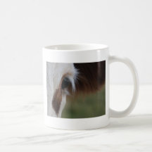 Koöga Kaffe Koppar