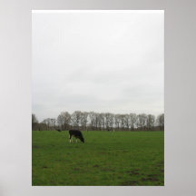 Kor i ängdel mig fotoaffischkonst