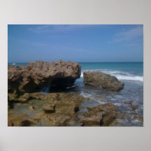 korallcove 2 posters