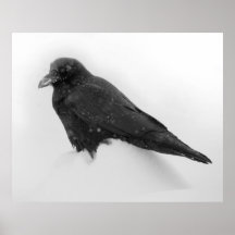 Korpsvart affisch