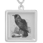 Korpsvart Corvus Smycken