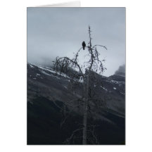 Korpsvart ensling hälsnings kort