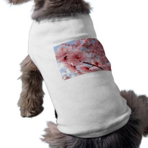 Körsbärsröd blommarvovveutslagsplats hund tröja