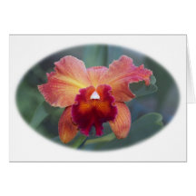 Kort för Cattleya Orchidhälsning