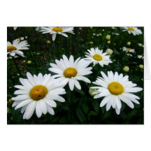 Kort för daisyfälthälsning