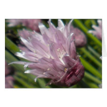 Kort för gräslökblommarhälsning (förbigå),