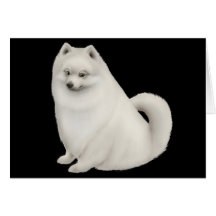 Kort för hälsning för vitPomeranian hund