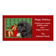Kort för helgdag för jul för Newfoundland hund dju Fotokort
