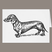 Kort för hund för taxdachshoundwiener kort