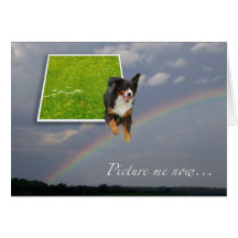 Kort för hundsympatiregnbåge