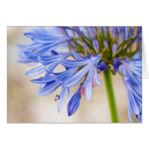 Kort för kärlekblommahälsning
