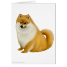 Kort för Pomeranian valphälsning