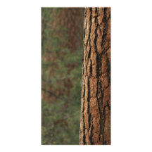 Kort för Ponderosa gräsfoto Anpassade Foto Kort