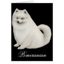 Kort för vitPomeranian hund