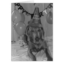 Kort för Weimaraner födelsedaghälsning