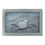 Krabban spänner fast