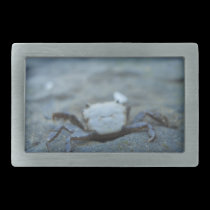 Krabban spänner fast belt buckles