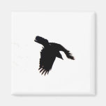 Kråka i flyg magneter