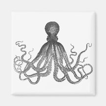 Kraken - svart jätte- bläckfisk/Cthulu Magneter
