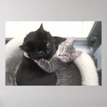 Krama för kattungar print