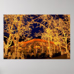 Krog på grönten, Central Park, New York City, Print