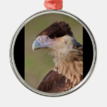 Krönad Caracara Jul Dekorationer
