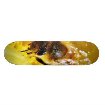 Kryp för makro för vingar för biPolleninsekter Skate Deck