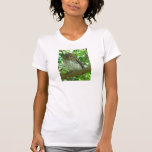 Kubansk Pygmy-uggla Tee Shirt