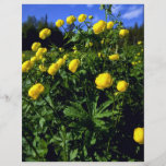 Kullero", provinsiell blomma av Lapland Flygblad