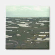 Kuskokwim deltavåtmarker - antennen beskådar magneter