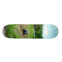 Kvinna som planterar den trädgårds- Near ladugårde Skateboard Decks