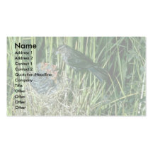 (kvinnlig) Röd-påskyndad Blackbird med barn Visitkort Mall