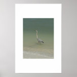 Kyla av print