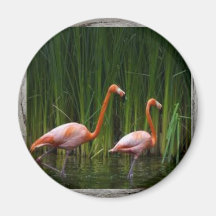 kylskåpmagnet för 2 flamingos magneter