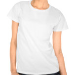 Kyssa mitt klassificerar Goodbye 2011 Tee Shirt