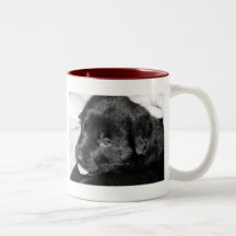 Kyssbramorgon Kaffe Muggar
