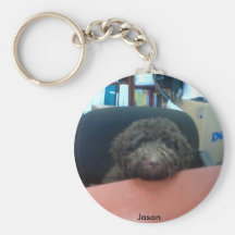 Labradoodle Jason Nyckel Ring