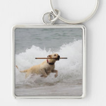 Labrador - gult - gå fetchen! nyckelringar