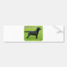 Labrador Retriever 9T099D-006 Bildekal