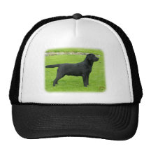 Labrador Retriever 9T099D-006 Kepsar
